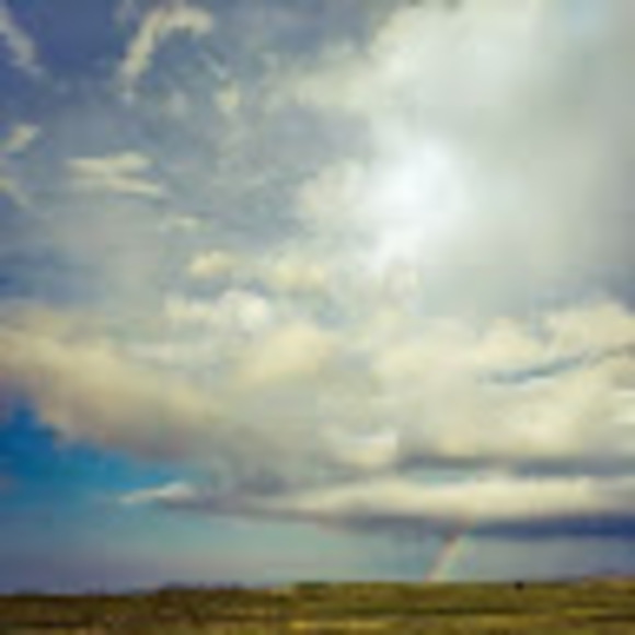 Meet your Posher, Consuelo - Picture 1 of 1